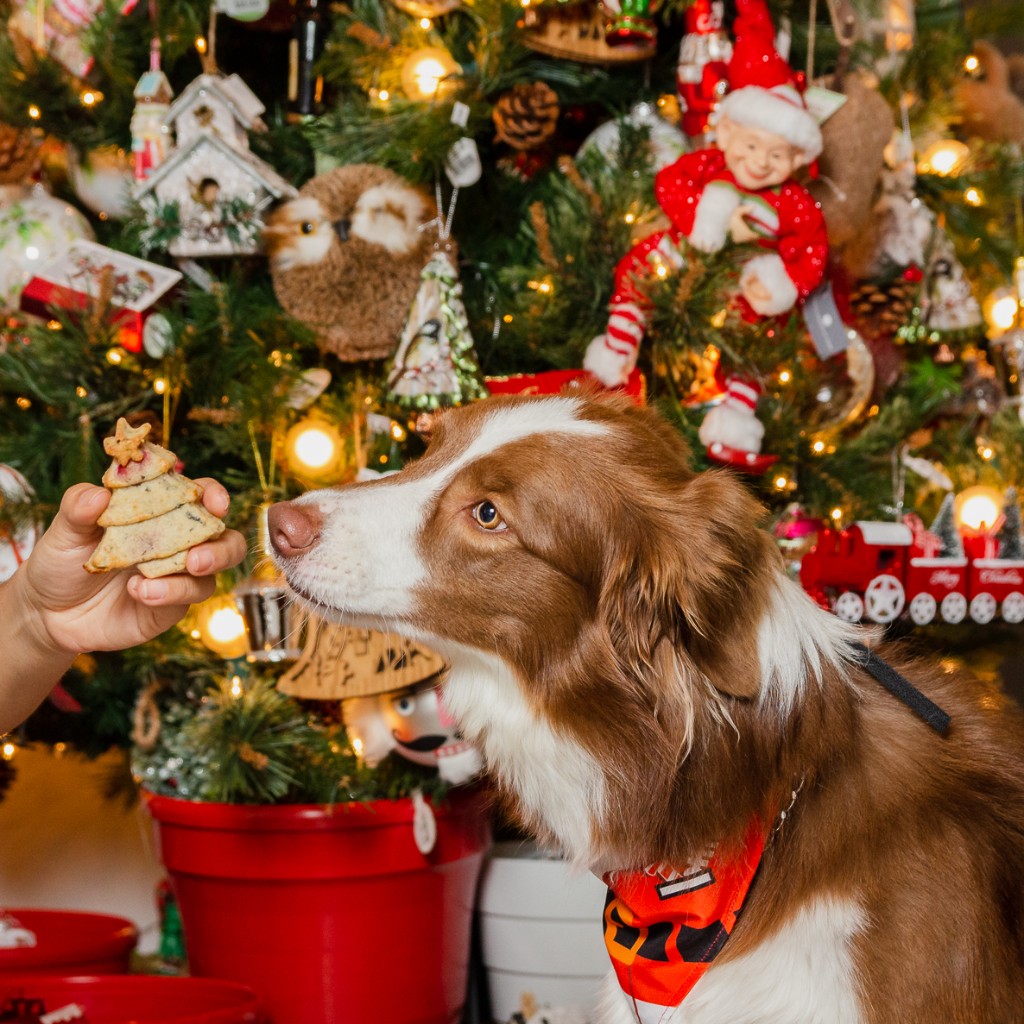 PASTEL ARCOIRIS NAVIDAD OPCIONES_1