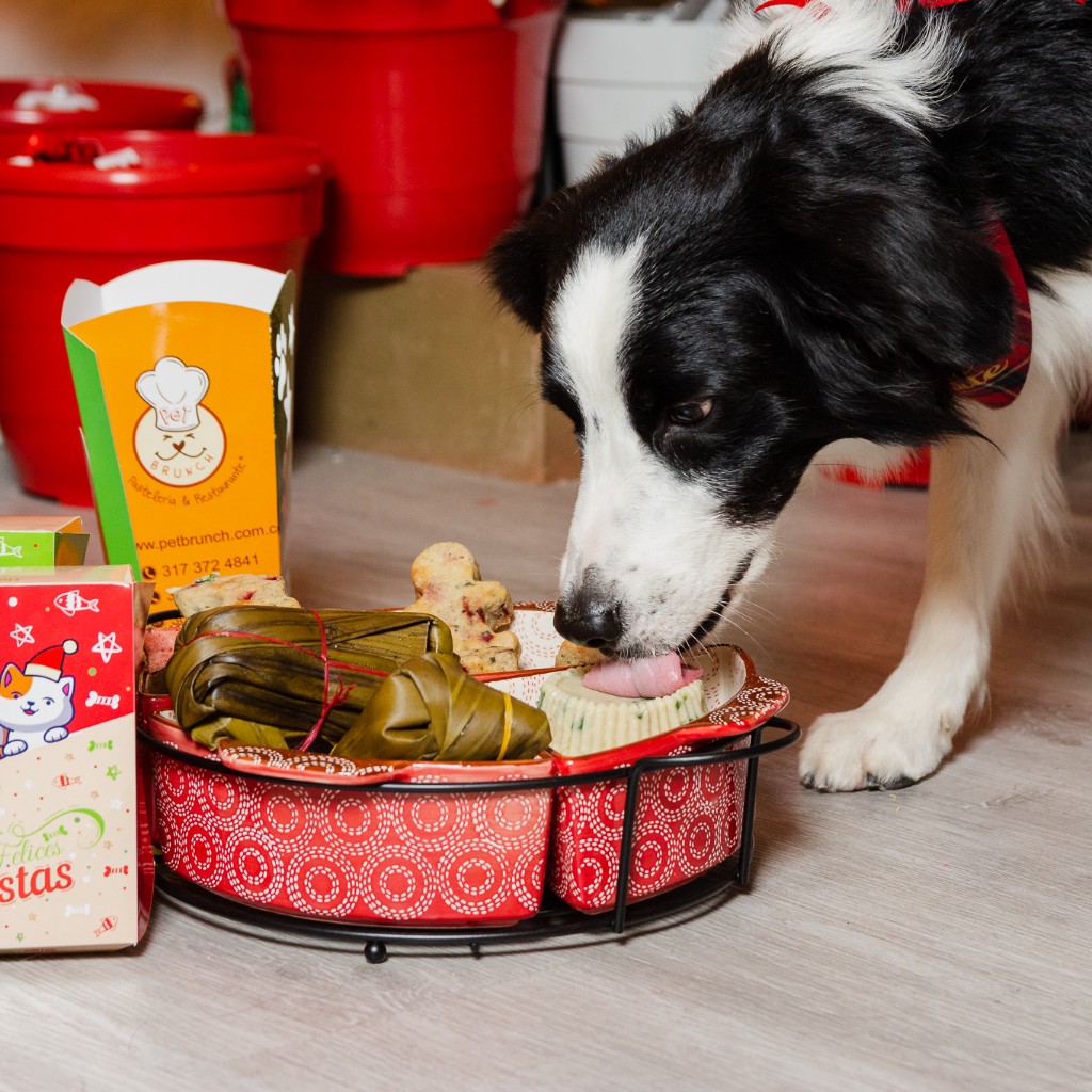 NATILLA CERDO vARIACION - COTIZACION_2