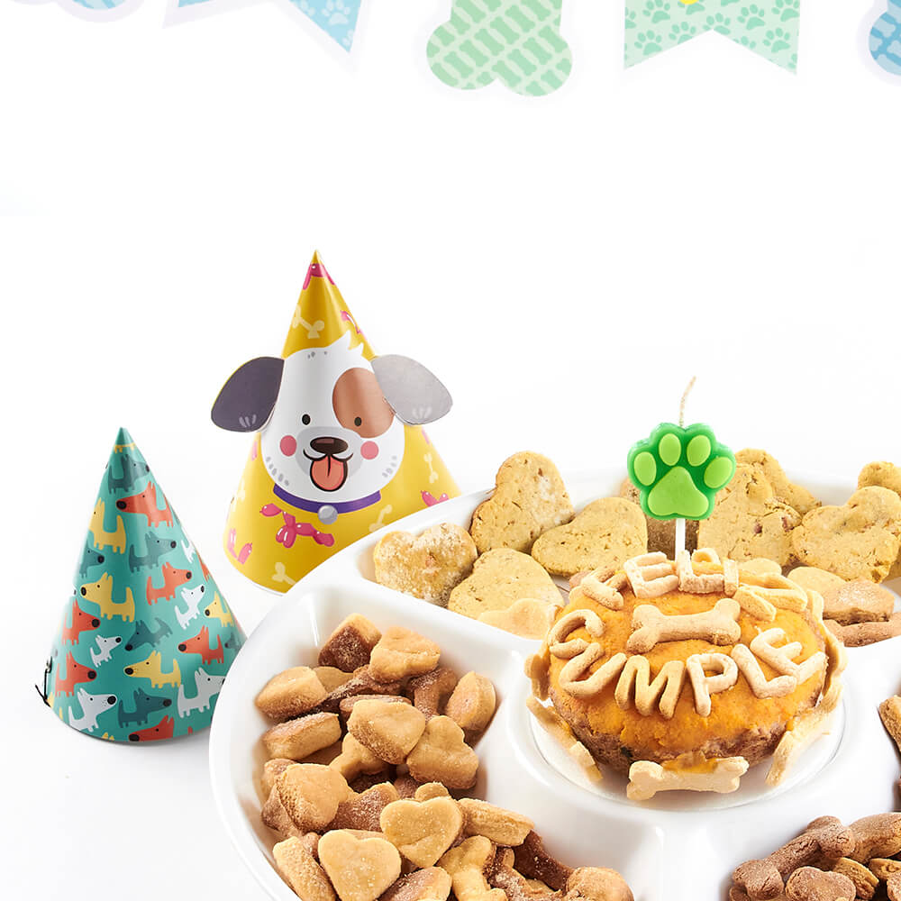 GORROS CUMPLEAÑOS PERRO - Pet Brunch Desarrollo