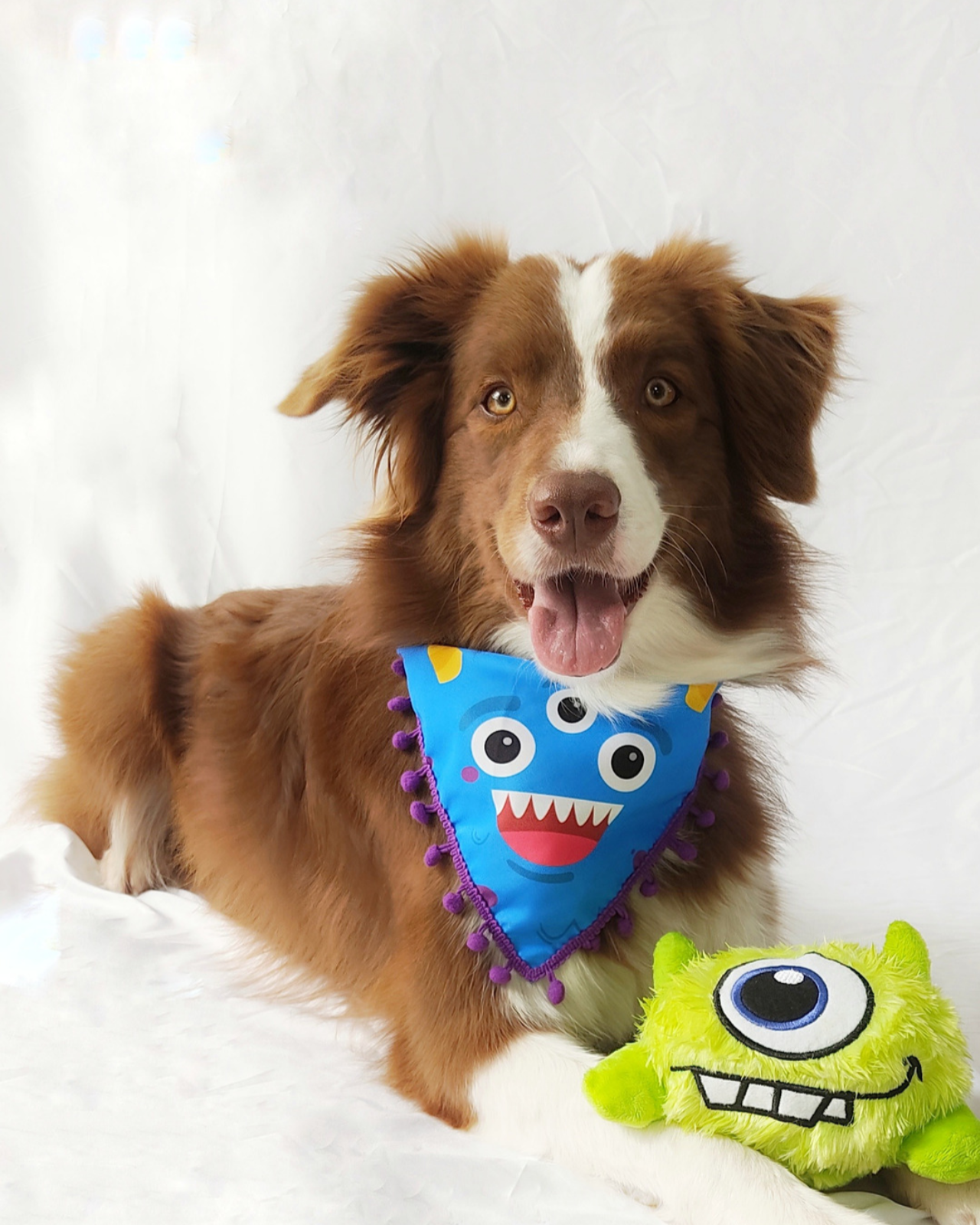 PAÑOLETA MONSTRUO AZUL - Pet Brunch Desarrollo