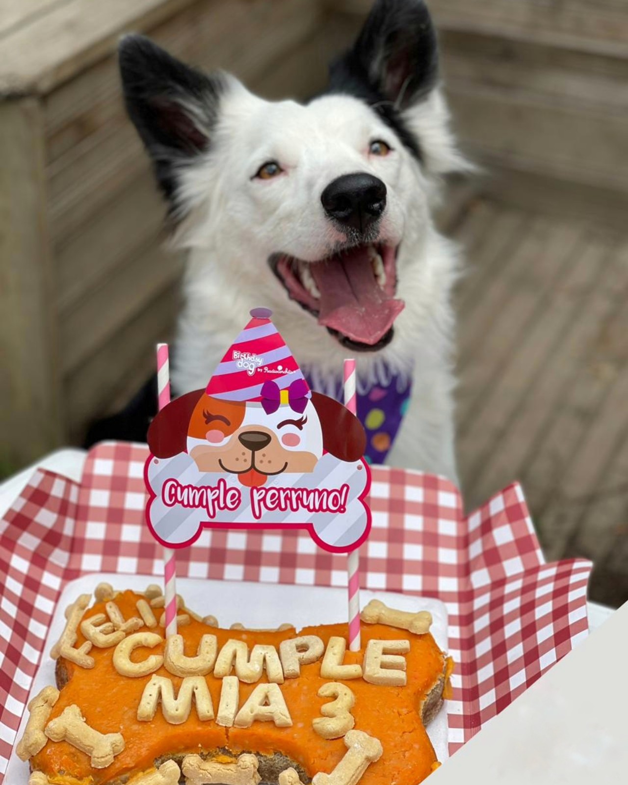 PASTEL CUMPLEAÑOS 1.5 KG_2