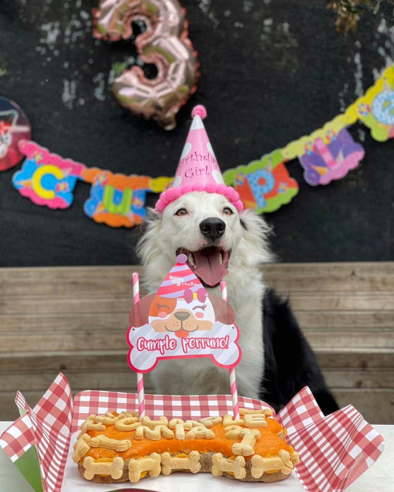 PASTEL CUMPLEAÑOS 1 KG - Pet Brunch Desarrollo