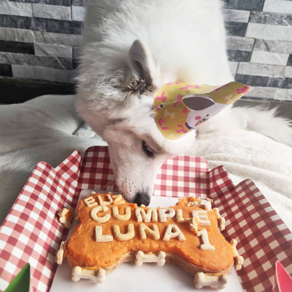 PASTEL CUMPLEAÑOS 750 gr_3